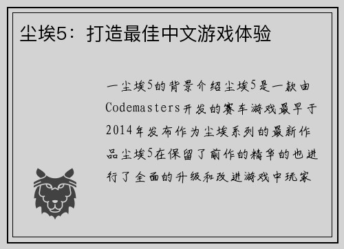 尘埃5：打造最佳中文游戏体验